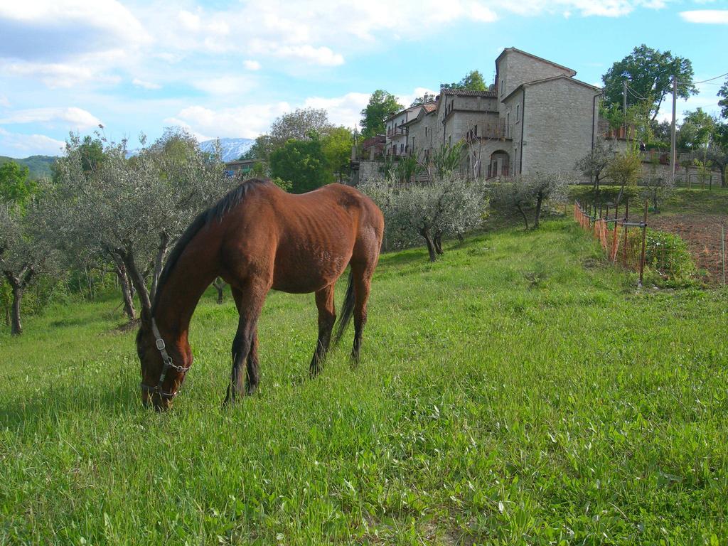 Agriturismo Borgo San Martino Abbateggio Εξωτερικό φωτογραφία