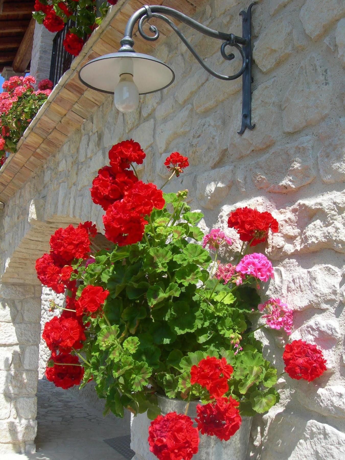 Agriturismo Borgo San Martino Abbateggio Εξωτερικό φωτογραφία