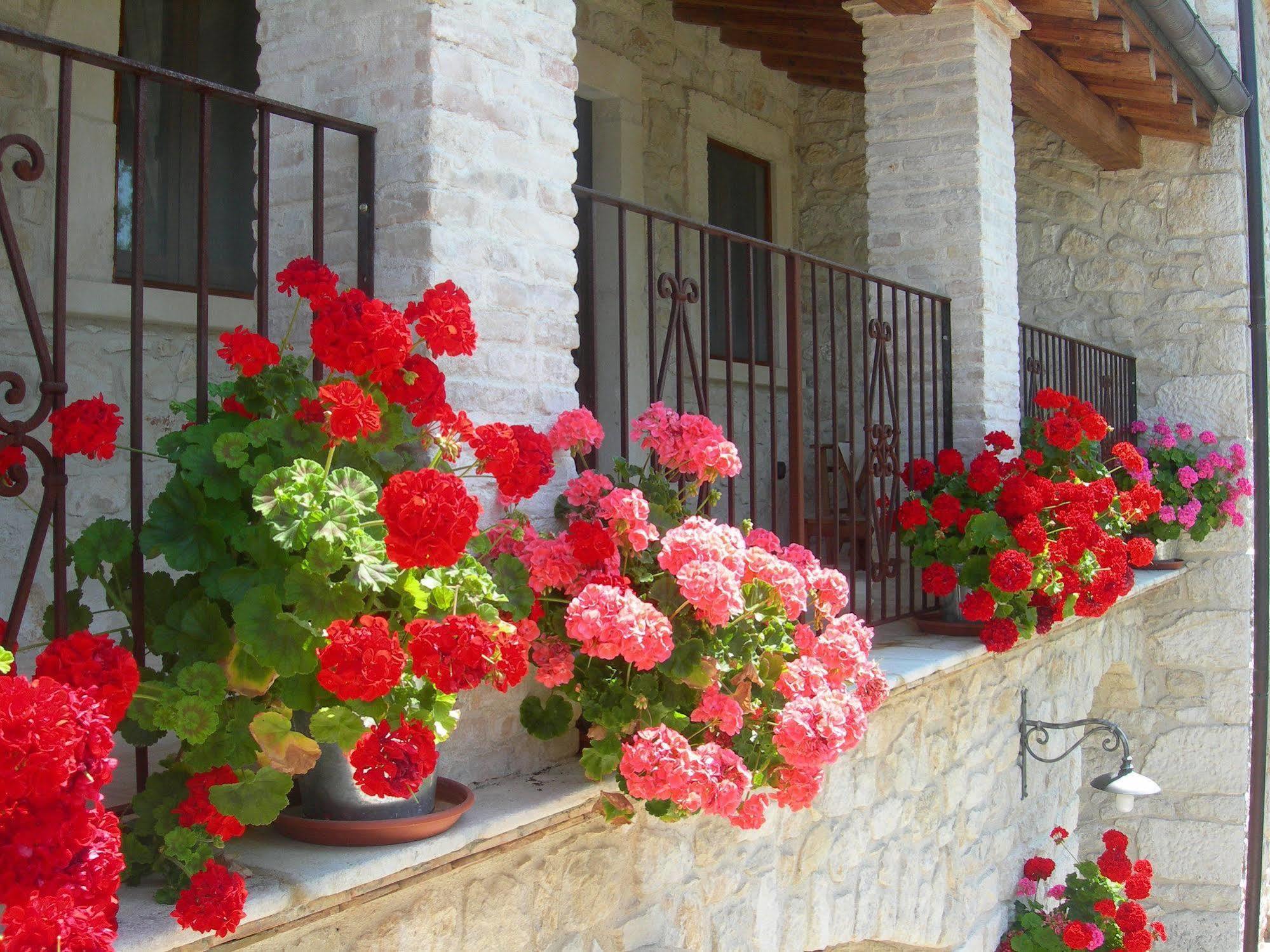 Agriturismo Borgo San Martino Abbateggio Εξωτερικό φωτογραφία